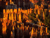Bryce Canyon National Park, Utah.  © Christian Heeb