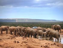  © South African Tourism