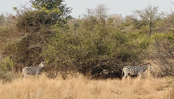  &copy; Dreamtime sa/Stefanie Anderegg