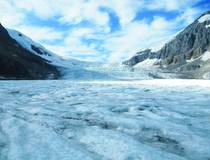 Athabasca-Gletscher © Dejan Romih